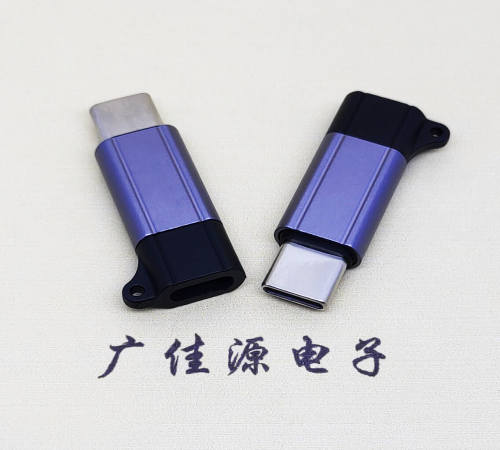 TYPE-C母座转TYPE-C公头成品转接头
