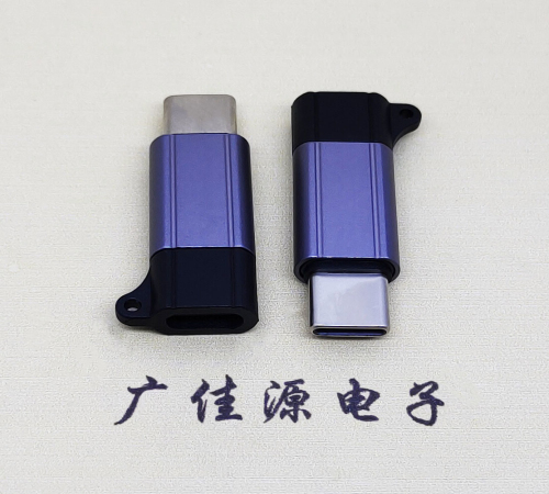 TYPE-C母座转TYPE-C公头成品转接头
