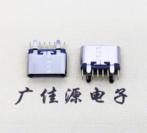 立式四脚插板TYPE-C16P母座