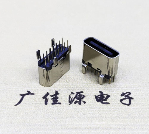 立式四脚插板TYPE-C16P母座